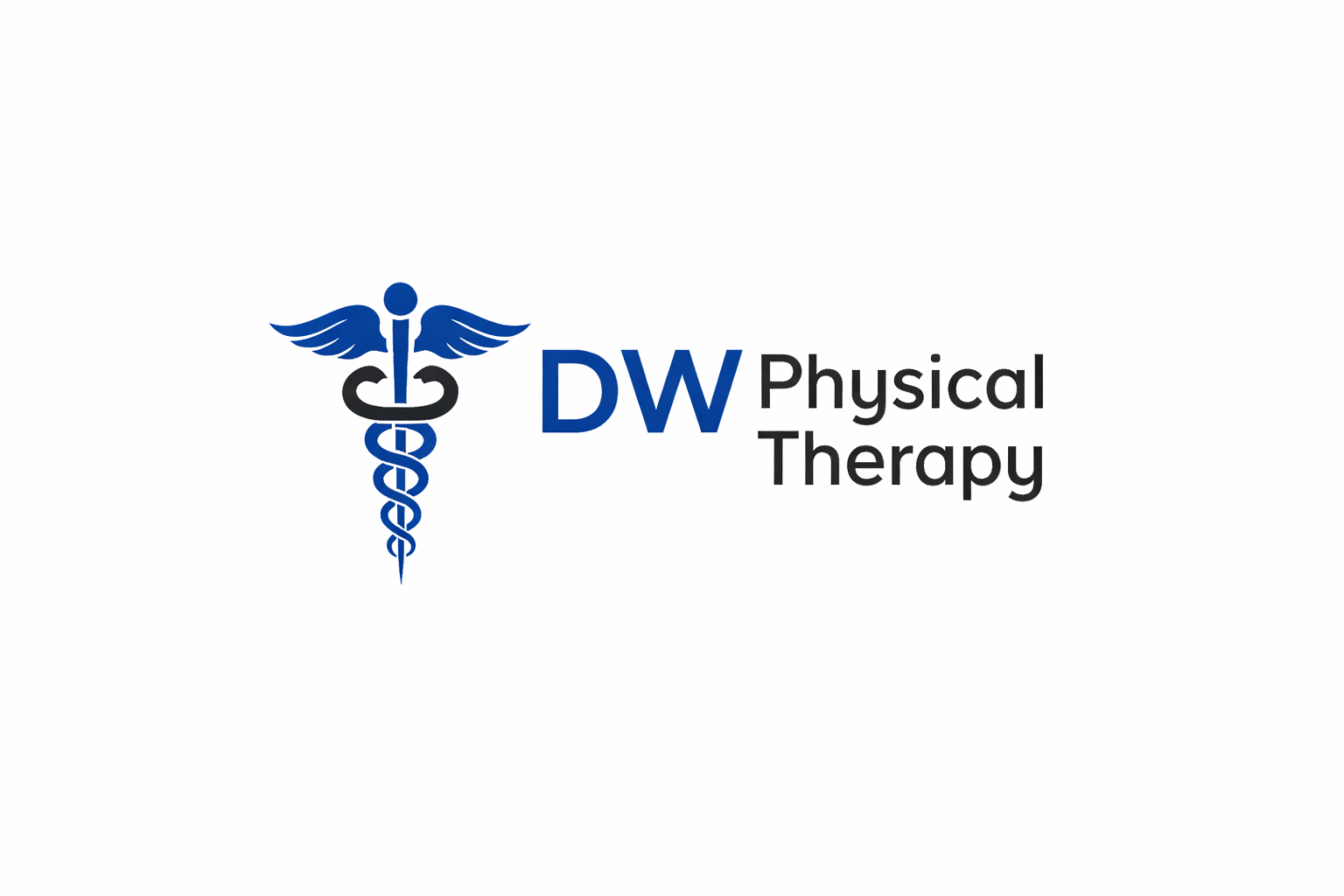 DW Physical Therapy logo